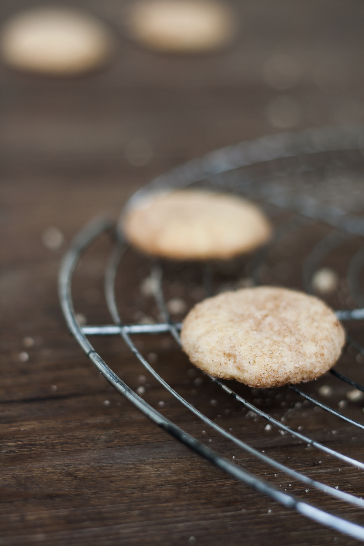 Rezepte für Weihnachtsplätzchen: Snickerdoodles