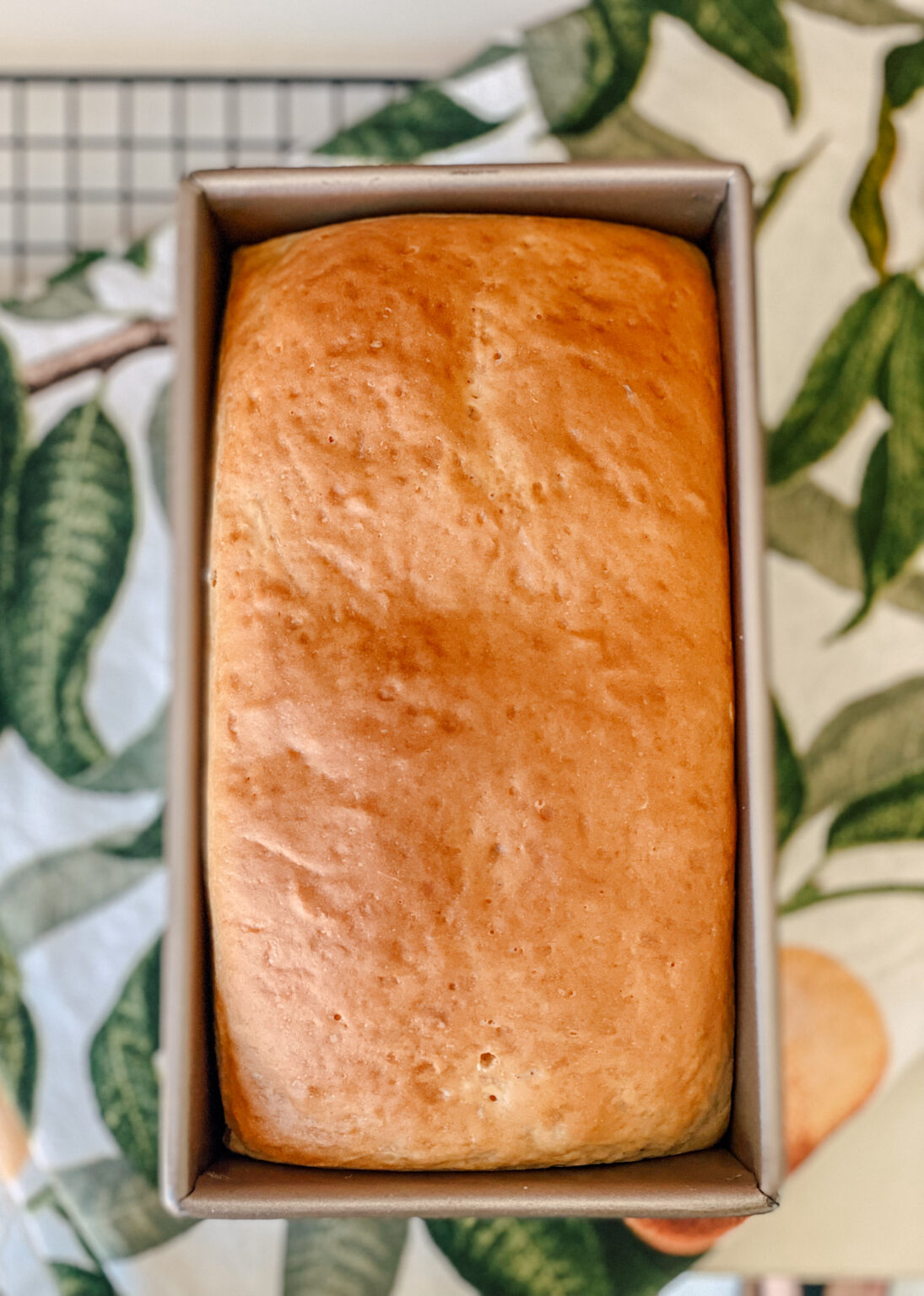 Weißbrot - feines gemüse